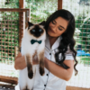Dog and Cat Bow Ties - Image 2